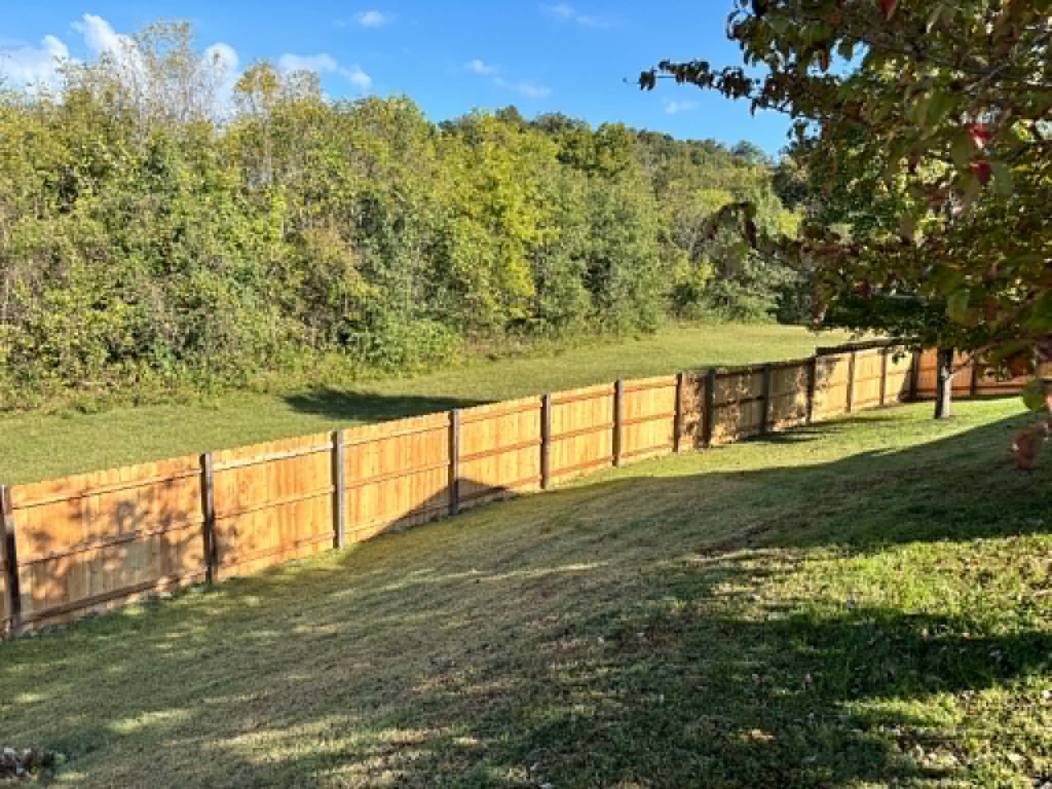 Cedar privacy fence on slope in Middle Tennessee