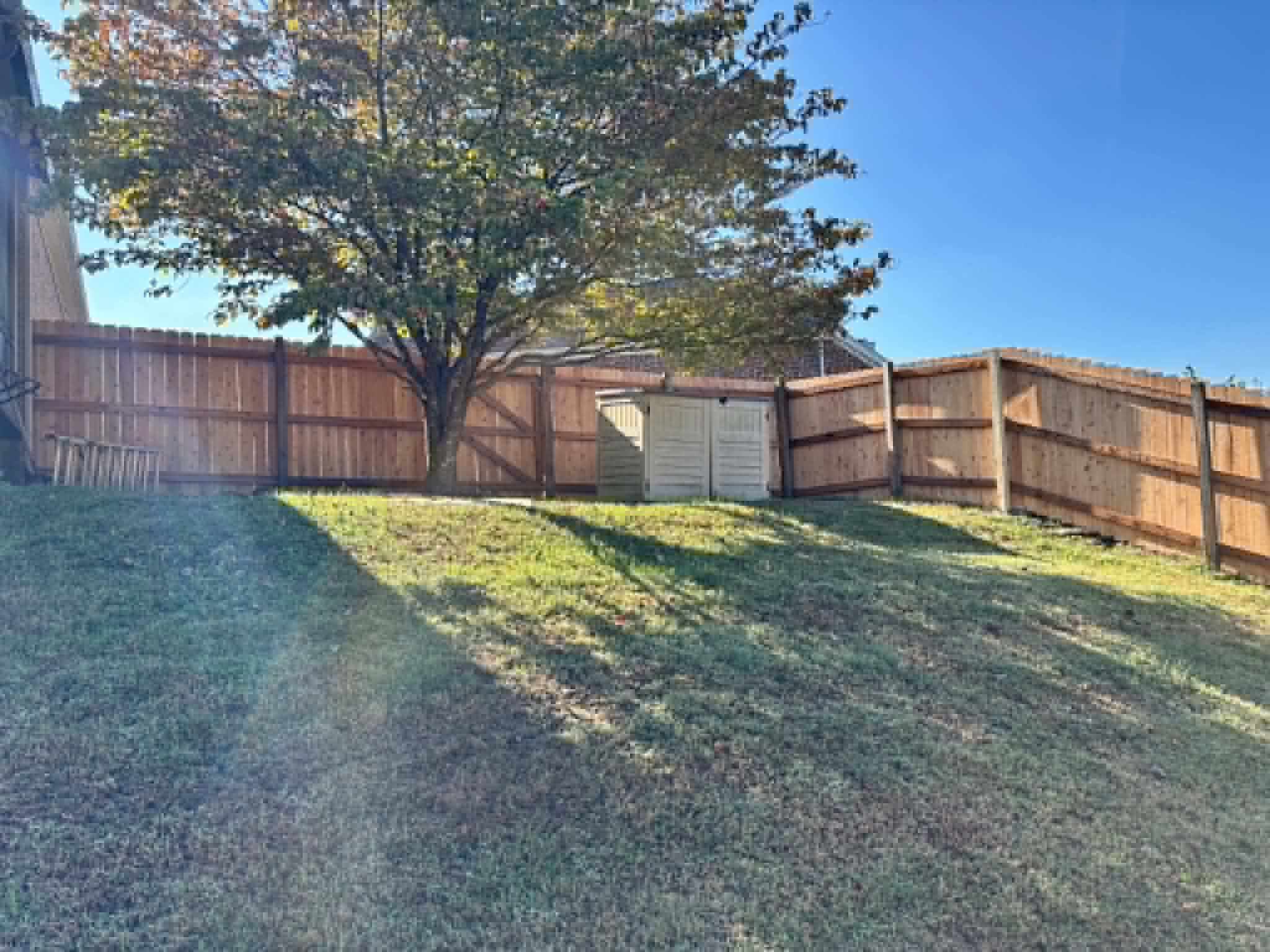 Privacy fence with mature backyard trees in Middle Tennessee