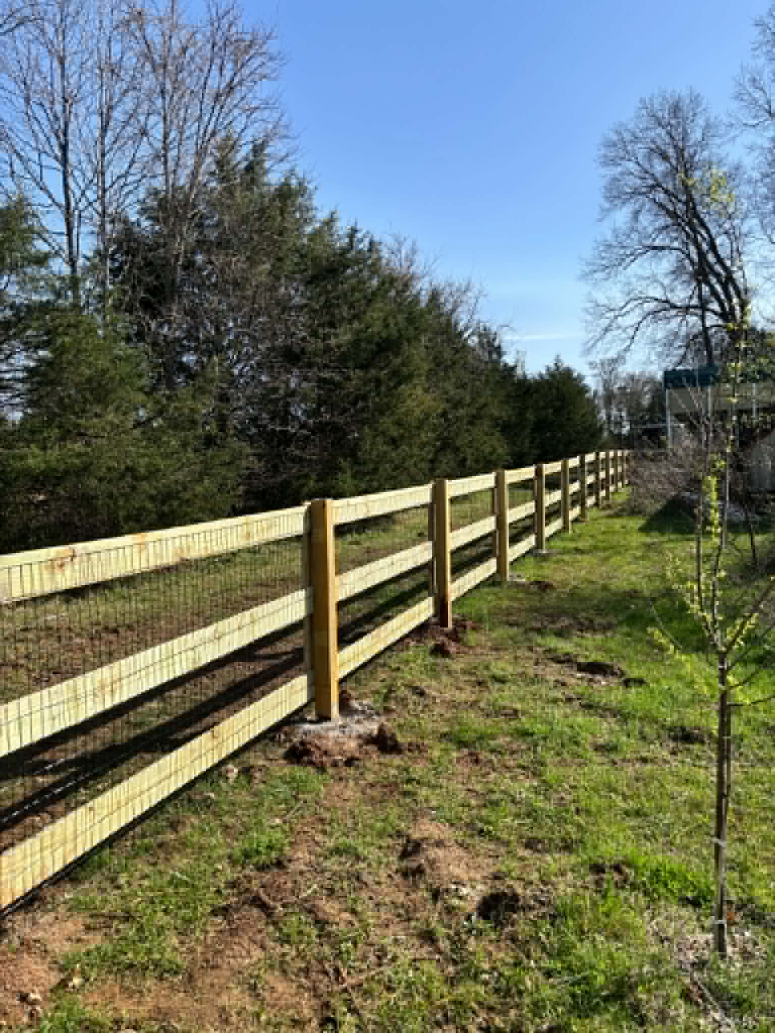 Split rail fence along driveway in Middle Tennessee