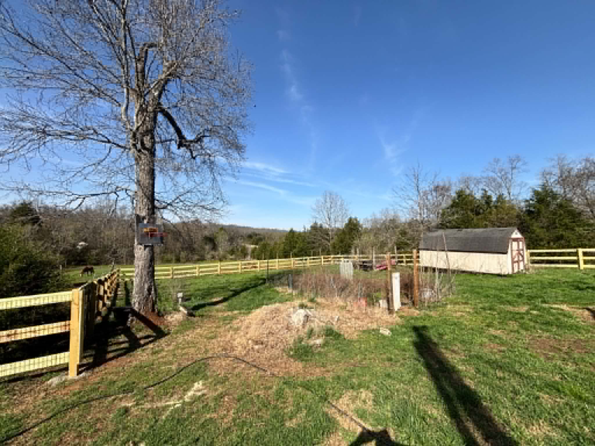 Split rail fence in pasture in Middle Tennessee