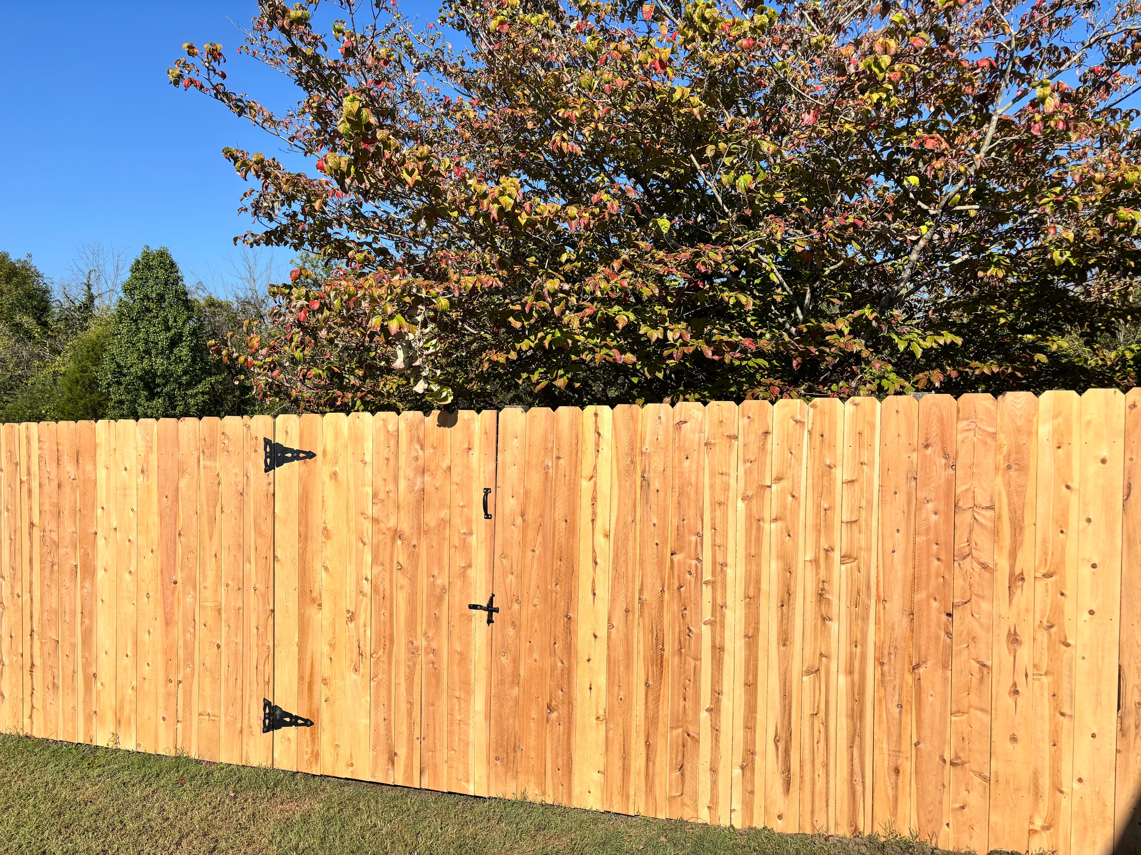 Cedar dog-ear privacy fence with gate installed in Middle Tennessee backyard