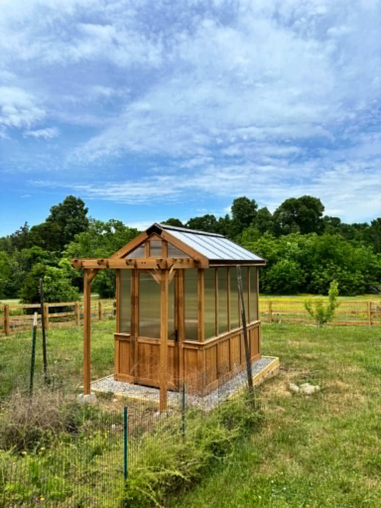 Cedar pergola with decorative rafter tails